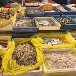 王顶堤水产批发市场 电话、地址、价格与营业时间全攻略