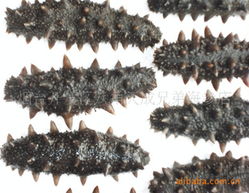 烟台开发区八角天成兄弟海参店 精选干制水产品列表