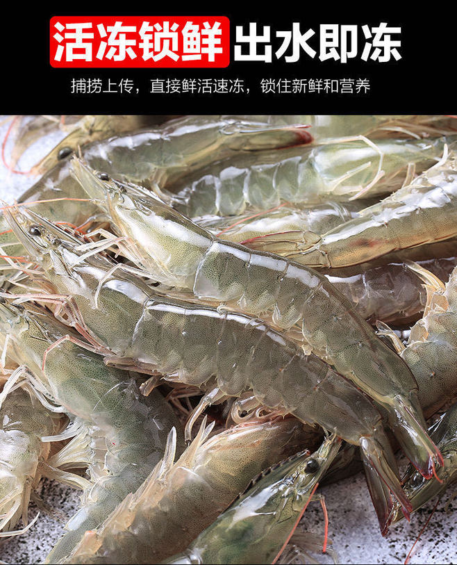 鲜活海虾选购指南 从基围虾到盐冻大虾，探秘天猫水产的鲜美世界