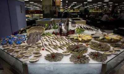 冰台喷雾加湿器 守护水产品新鲜与品质的正岛电器解决方案