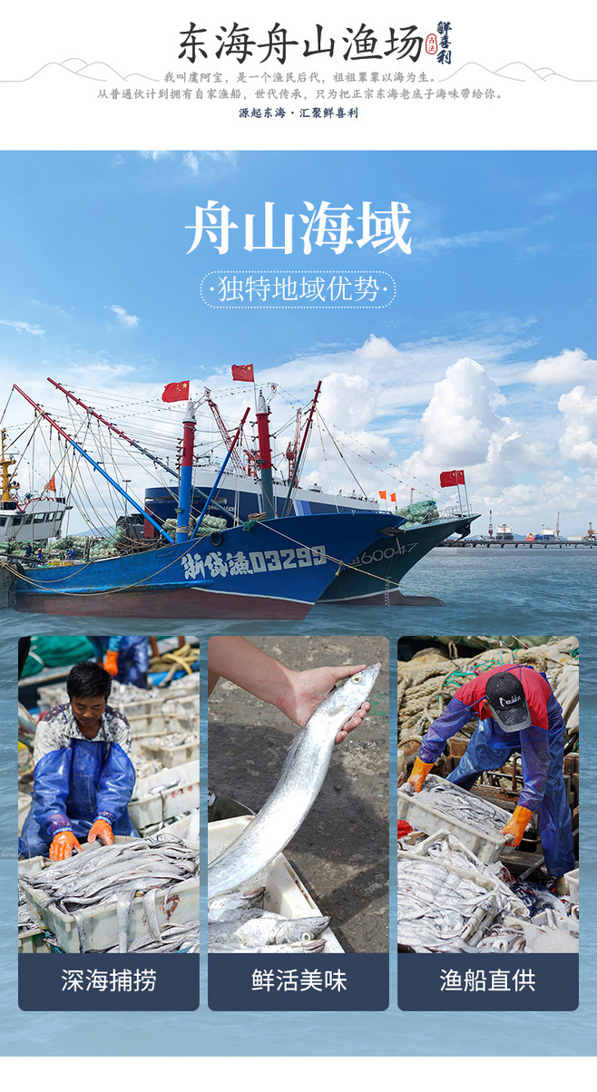 舟山带鱼 东海深处的鲜味传奇