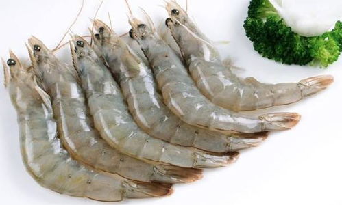 水产品进口注意事项