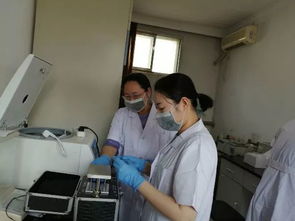 检测水产品 确保鱼安全——区水产技术推广站开展水产品质量安全检测工作