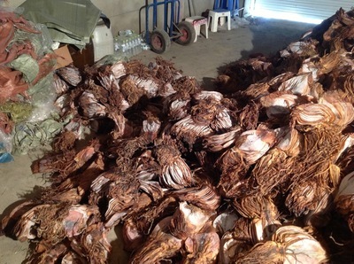 优品推荐 朝鲜干制水产品鱿鱼干——海鲜特产系列